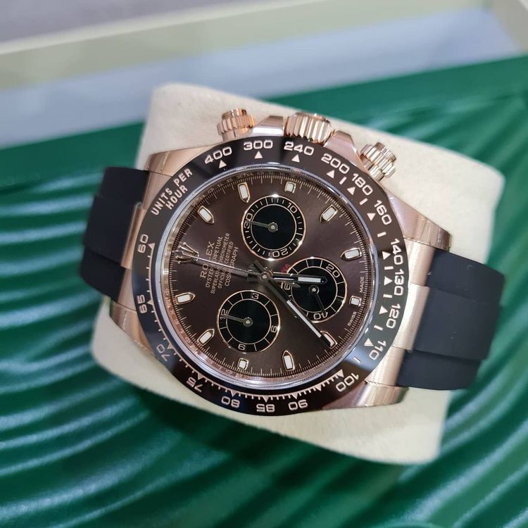 daytona oro rosa prezzo