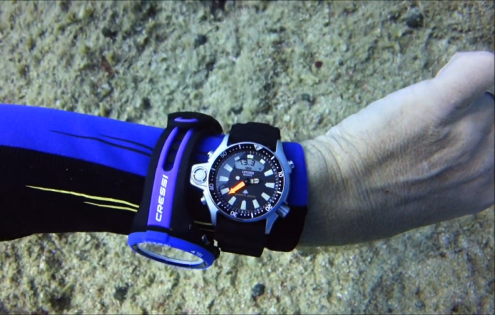 Citizen JP2000 Aqualand