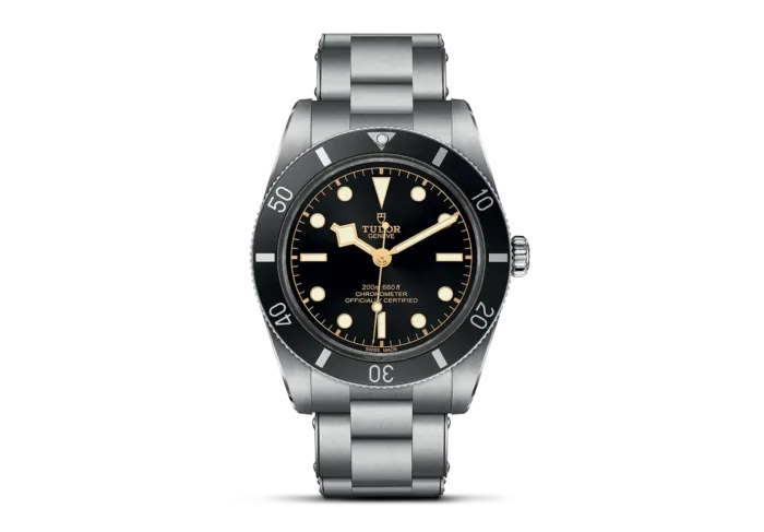Tudor Black Bay 54