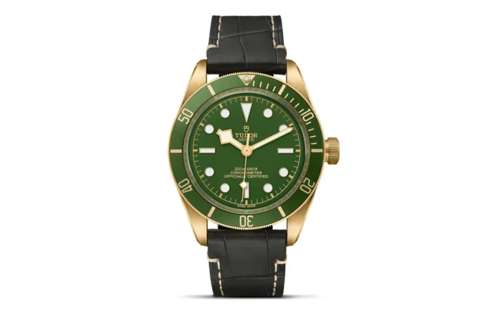 Tudor Black Bay Fifty-Eight 18K M79018V-0001